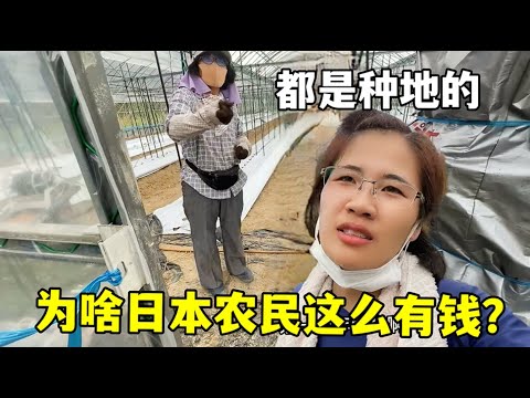 期七乐彩预,专家质合分,析前区十码,彩5彩票,彩票平台,高频彩票,在线投注,彩票分析