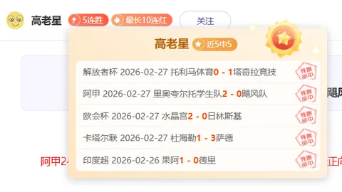 2025年世界杯瑞士队阵容正式公布
