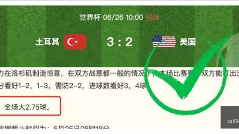 2026世界杯前瞻：英格兰表现卓越，民主刚果战术解析大巴反击战术